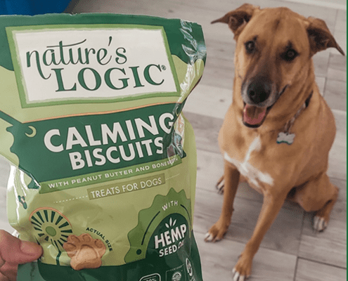 A pup posing with Nature's Logic Calming Support Biscuits - Bisuits with Benefits treats for dogs.