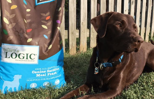 Dog laying in grass next to Nature's Logic dog food bag.