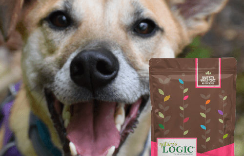 A pup smiling with a bag of Nature's Logic Canine Pork Meal Feast all natural dog food.