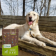 Happy dog for Nature's Logic dog food testimonial.