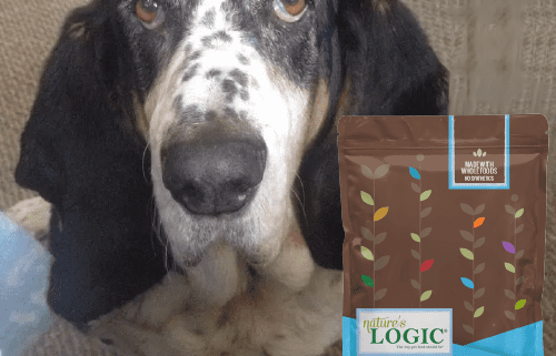 A basset hound pup with a bag of Nature's Logic Canine Sardine Meal Feast all natural dog food.