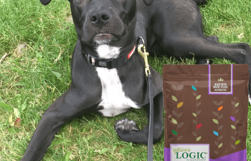 A black and white dog laying in the grass with a bag of Nature's Logic Canine Rabbit Meal Feast.