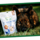 Is Lavender Safe For Dogs? Calming support biscuits