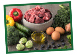 Understanding Dog Food Ingredients